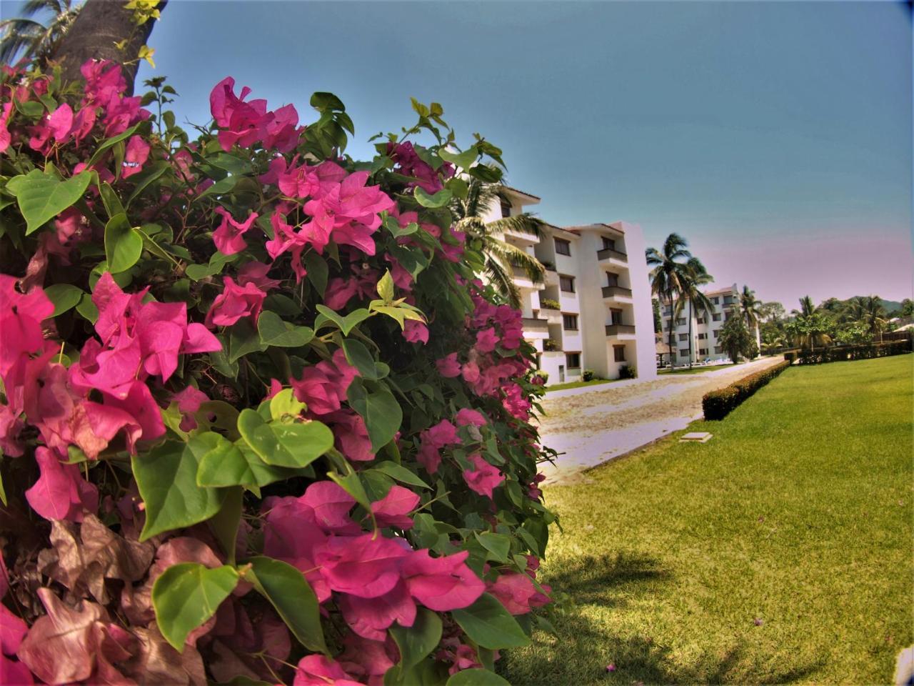 Suites Las Palmas Hotel Y Villas Мансанільйо Екстер'єр фото